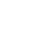 Collaborator 2