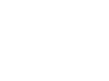Collaborator 3