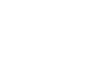 Collaborator 5